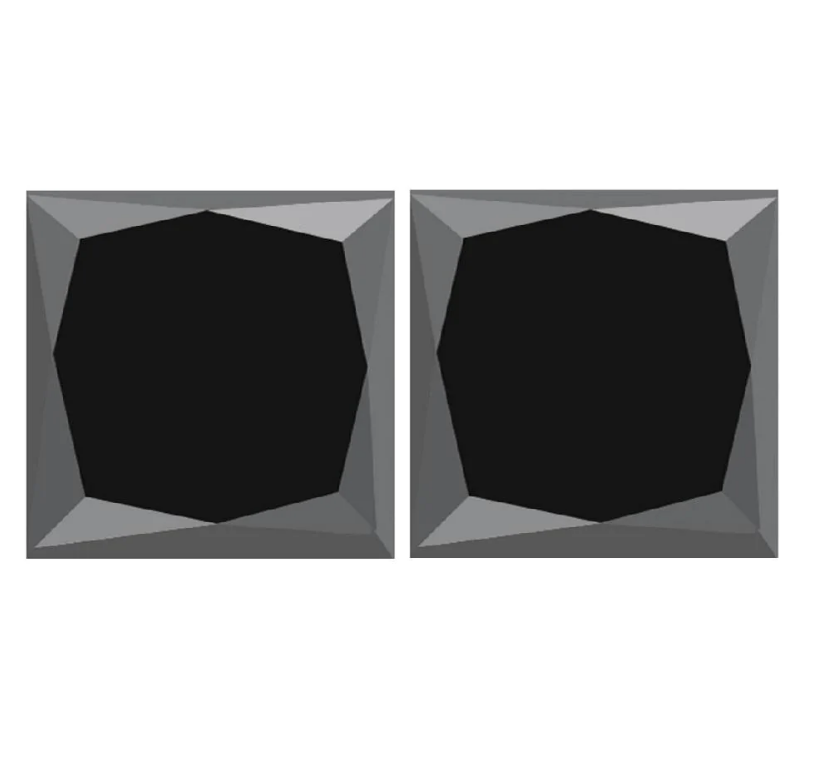 0.75 ct Natural Black Princess Cut Loose Diamond for Ring